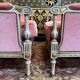 Paire de fauteuils - bergères de style Louis XVI