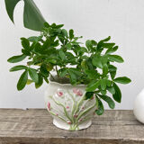 White ceramic pot cache in old flower slip