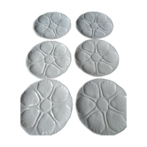 Oyster plates