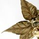 Beautiful brass ceiling or wall lamp from the 1970s by Willy Daro