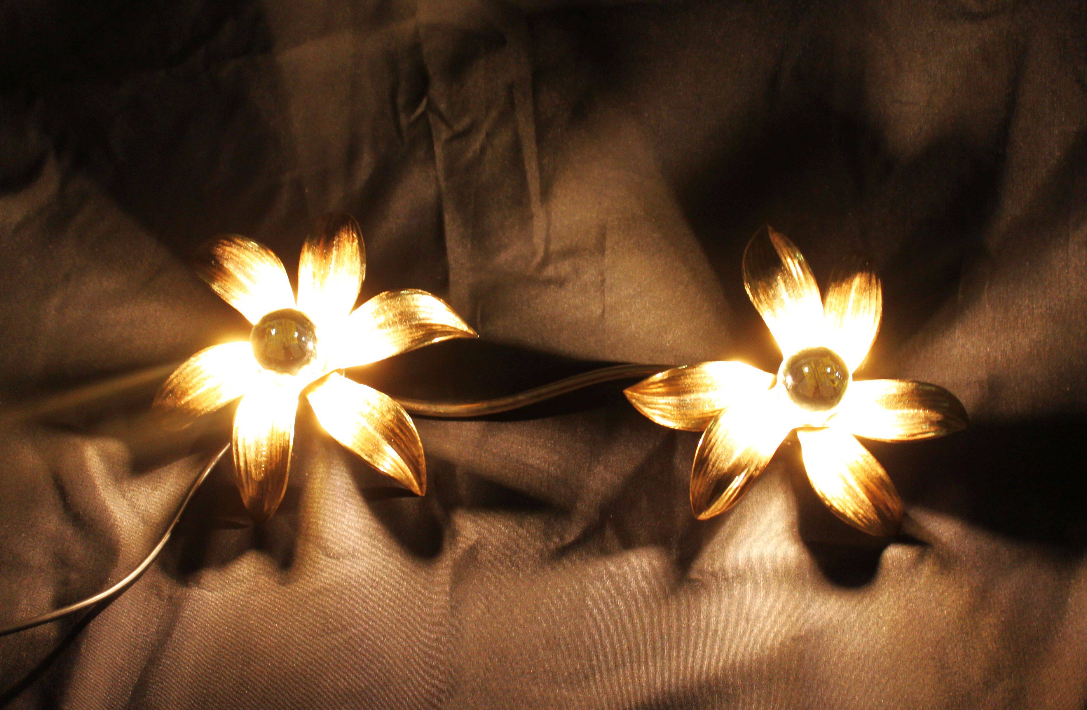 Two-flower wall light by Willy Daro, 1970
