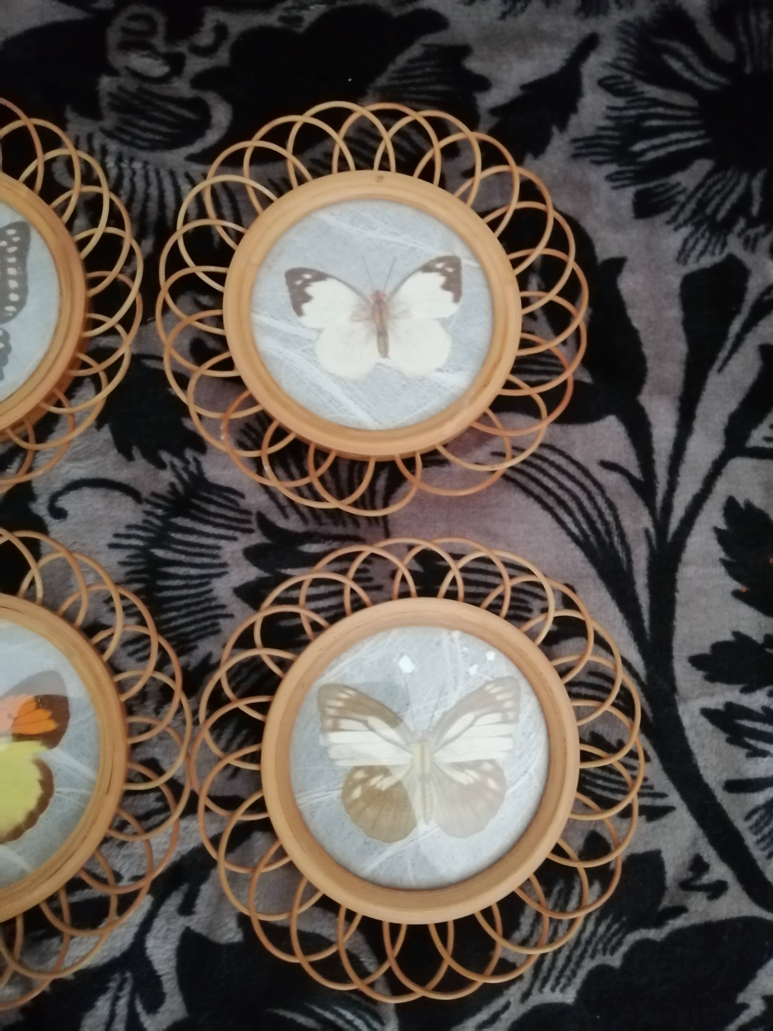 6 coasters in wooden wicker and butterfly background