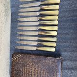 12 horn handle knives