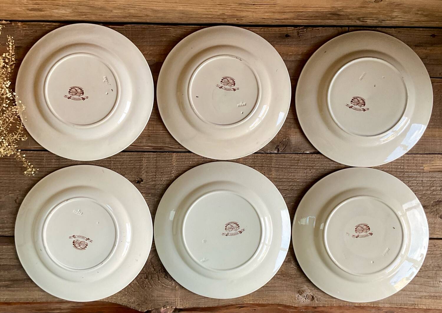 6 BROWNFIELD & SONS “Chelsea” England plates