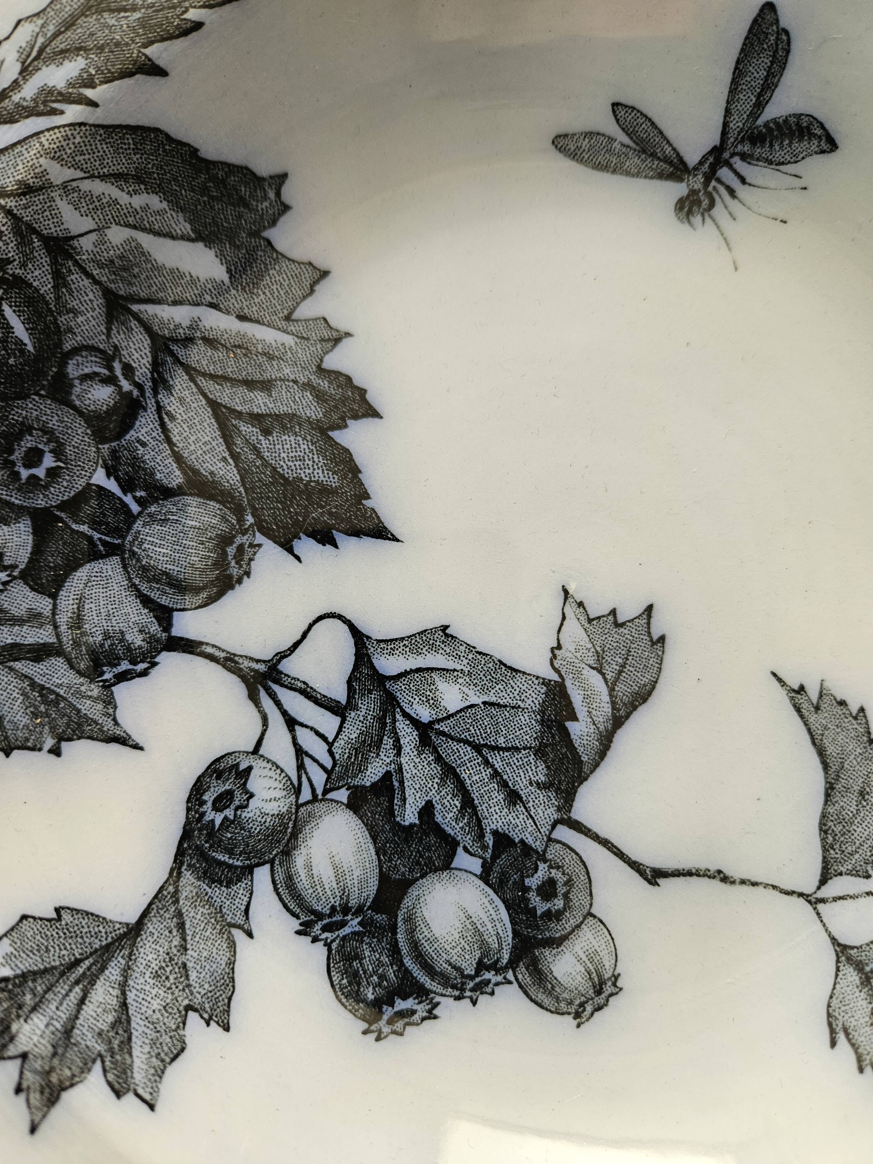 6 Longwy plates model Flowers