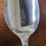 10 silver plated table spoons