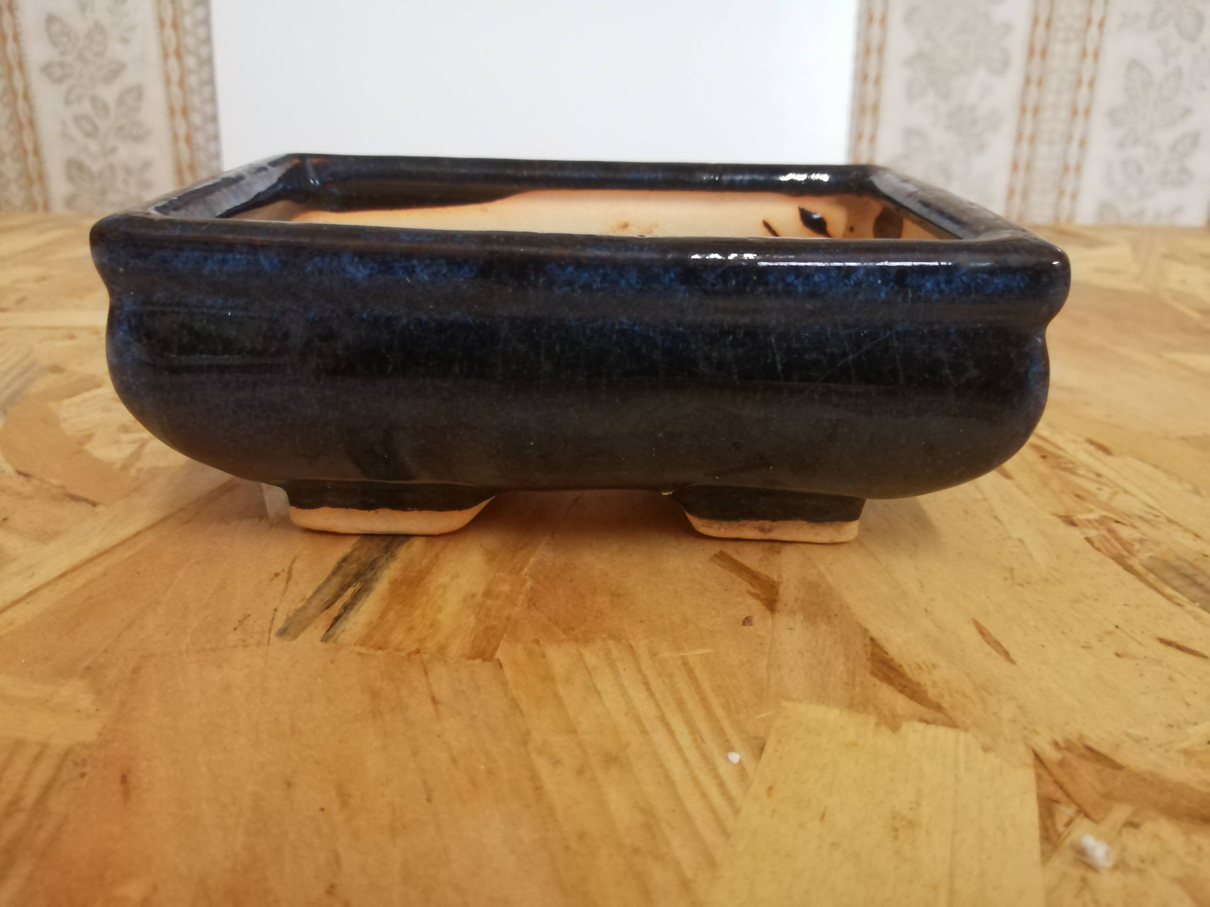Pot à Bonzaï