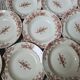 Sarreguemines Iron Earth Soup Plates 1910