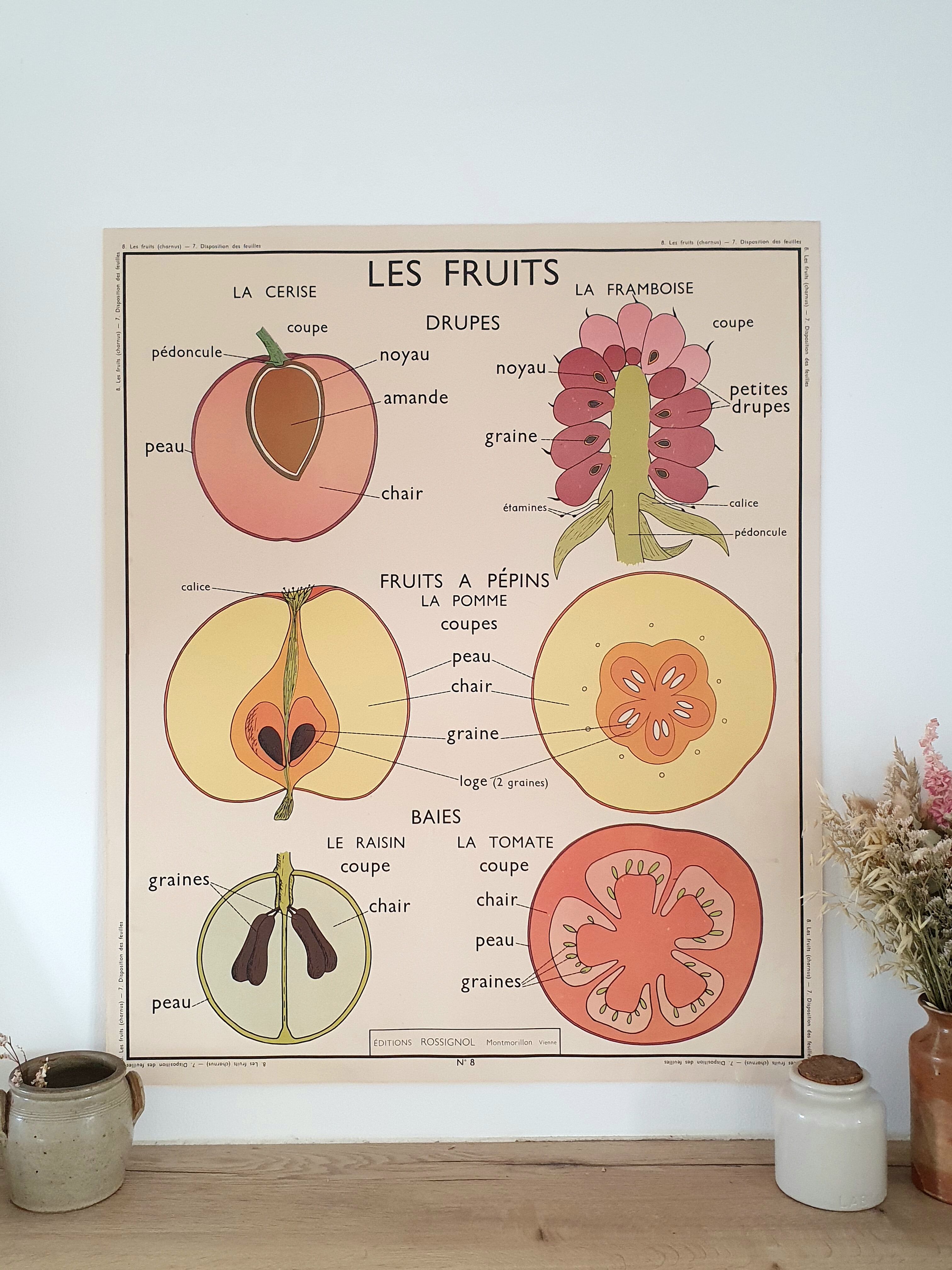 Rossignol school poster