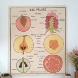 Rossignol school poster