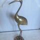 Brass bird 30cm