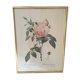 Dreaded botanical plank "Rosa Indica fragans"