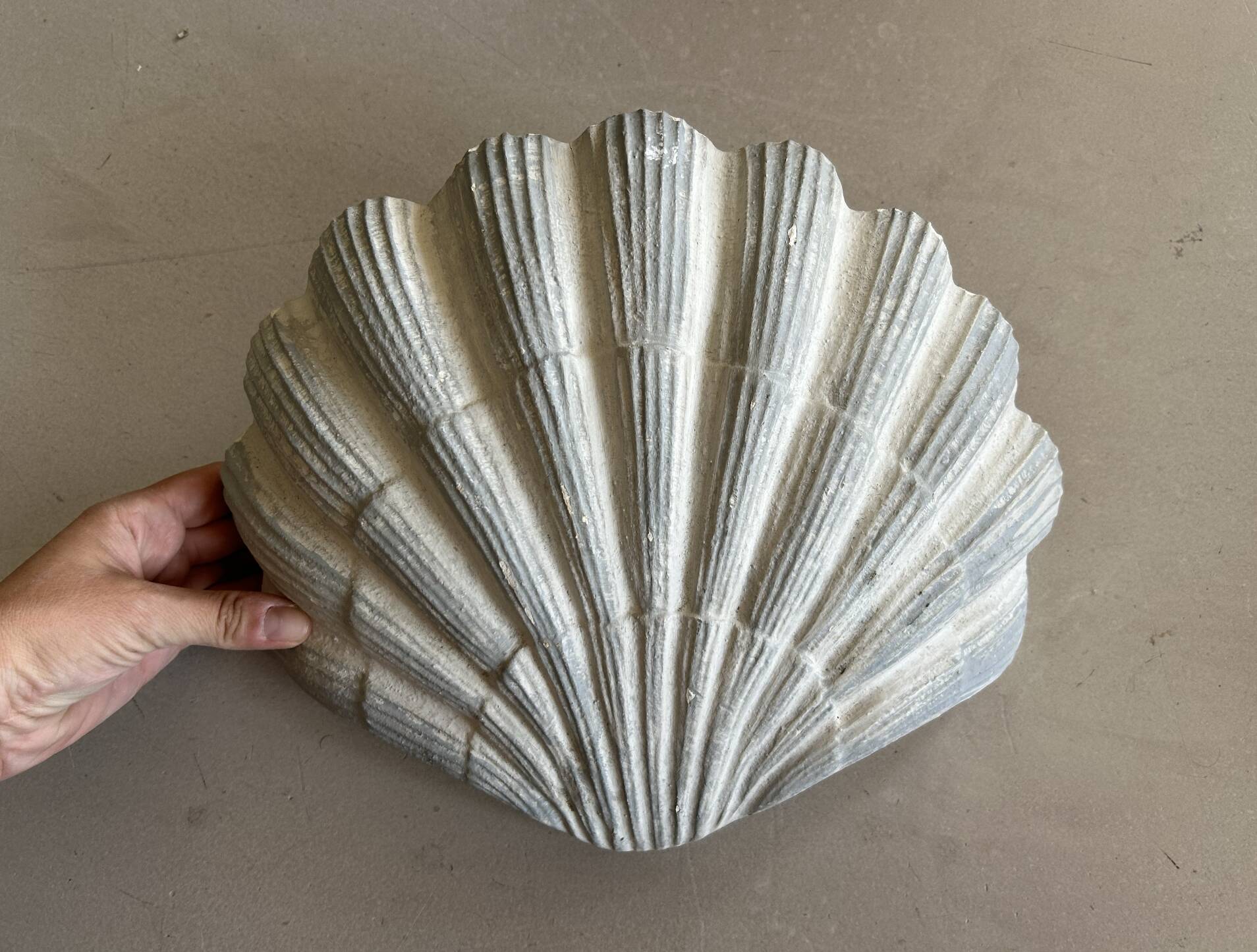 Applique coquillage en plâtre ancienne