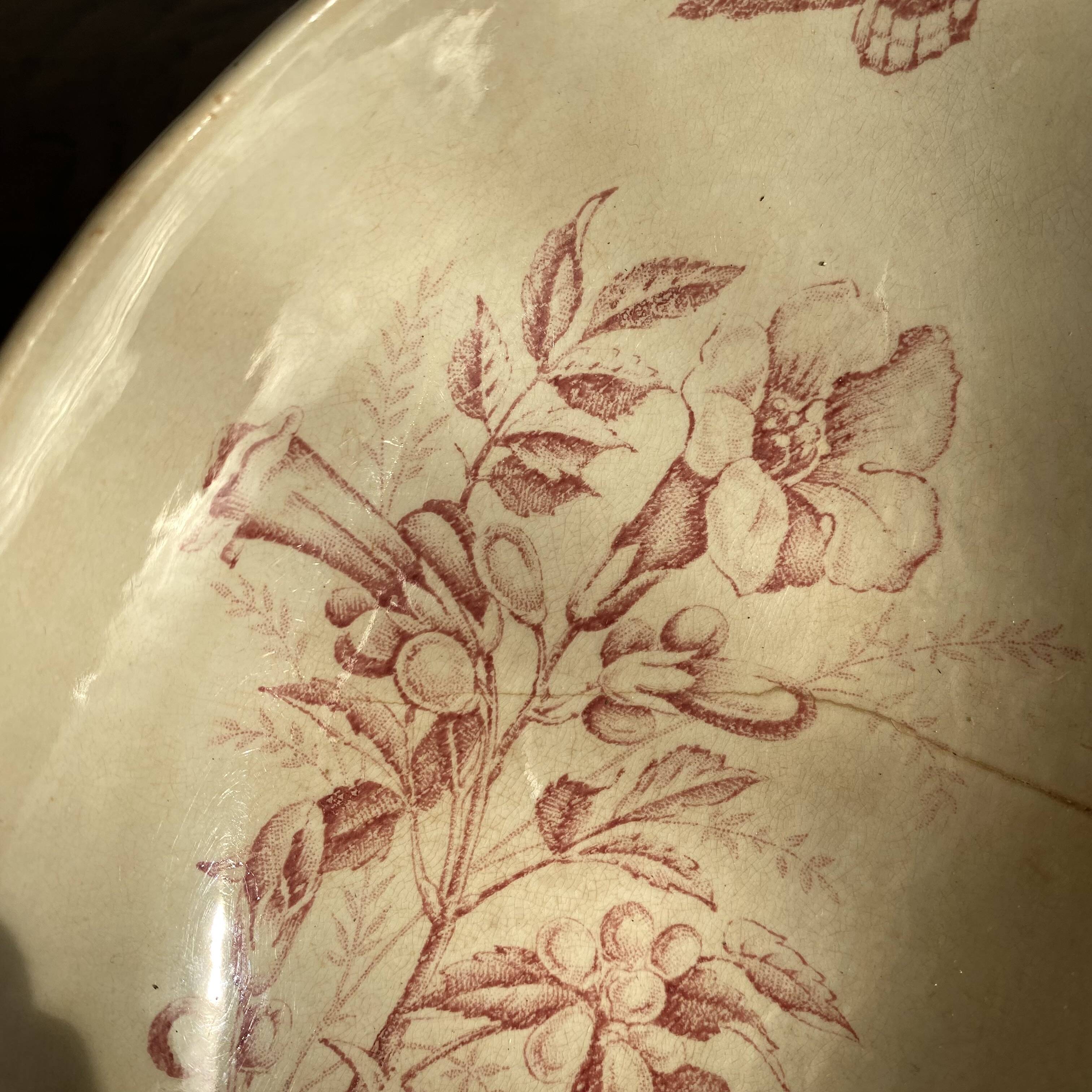 Badonviller ironstone dish with Virginia jasmine