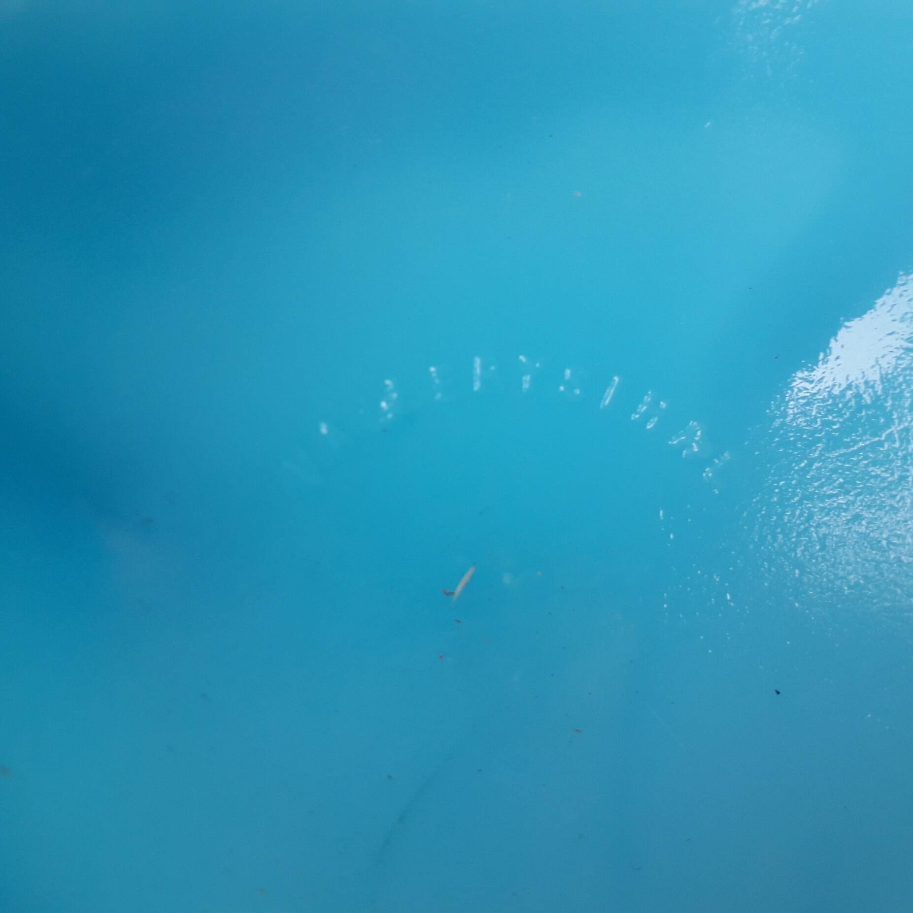 Bonbonnière en opaline bleue