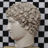 Greek head in waxed ivory plaster