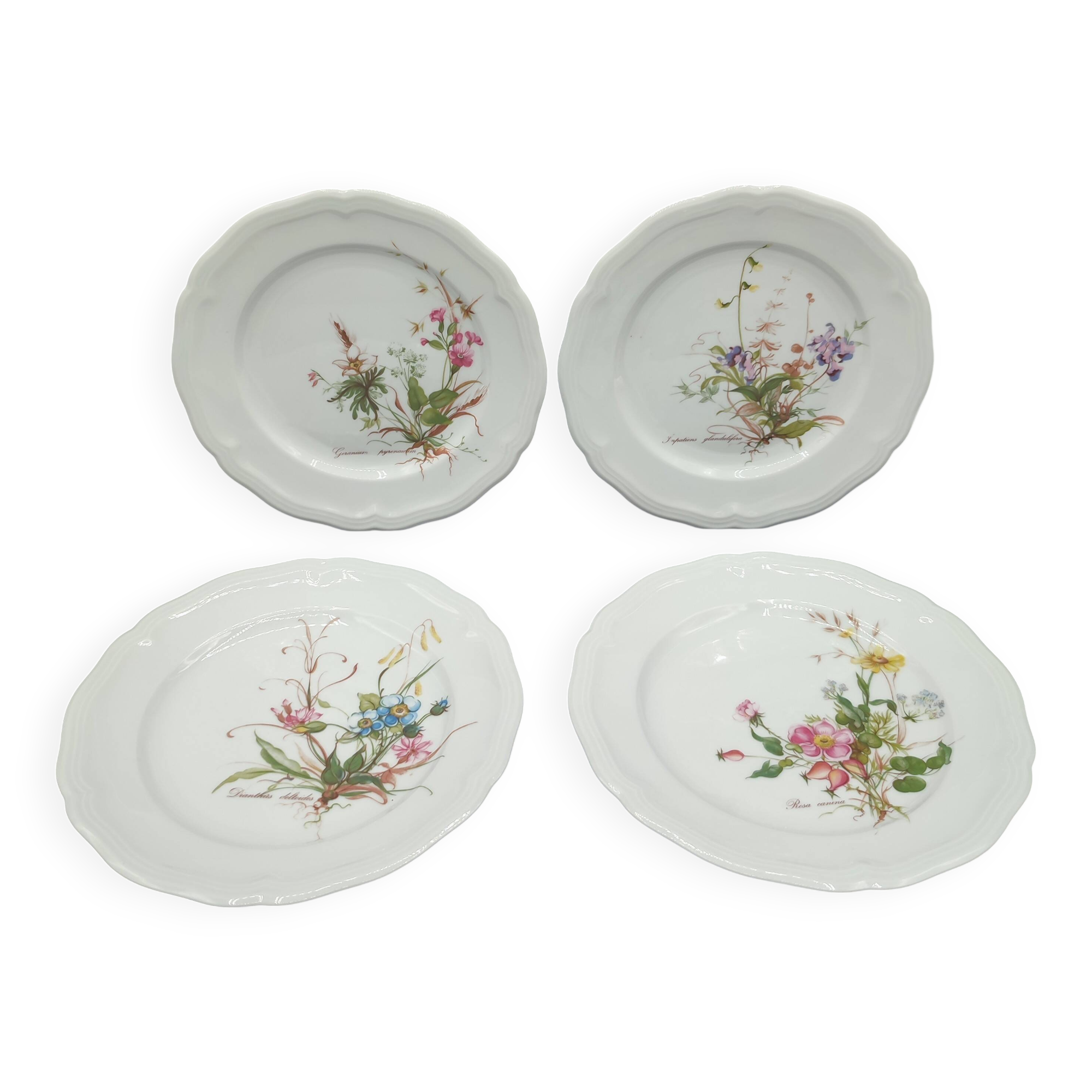 Set of 4 dessert plates Seltmann Weiden Bavaria Collection Marie-Luise