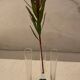 Set of 3 small antique vases