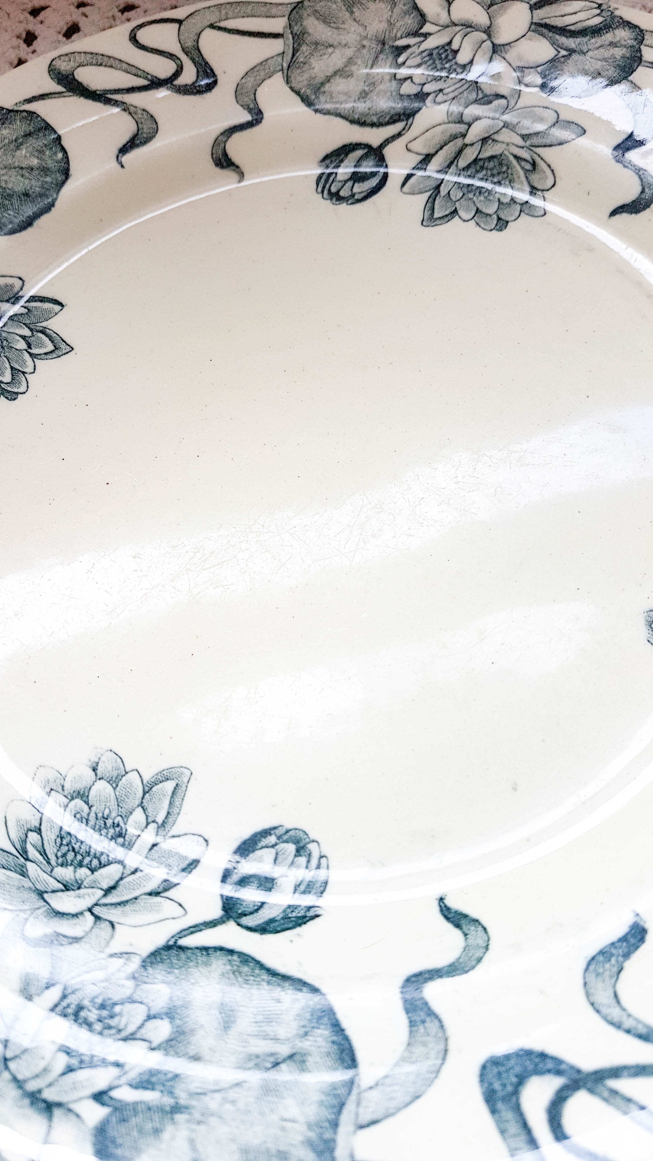 Lot of 2 plates "nenuphar" R&S Salins Terre de Fer