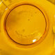 6 Duralex glasses, orange color