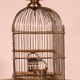 Brass Birdcage - 19th Century