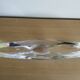 Coupe en cristal de Baccarat