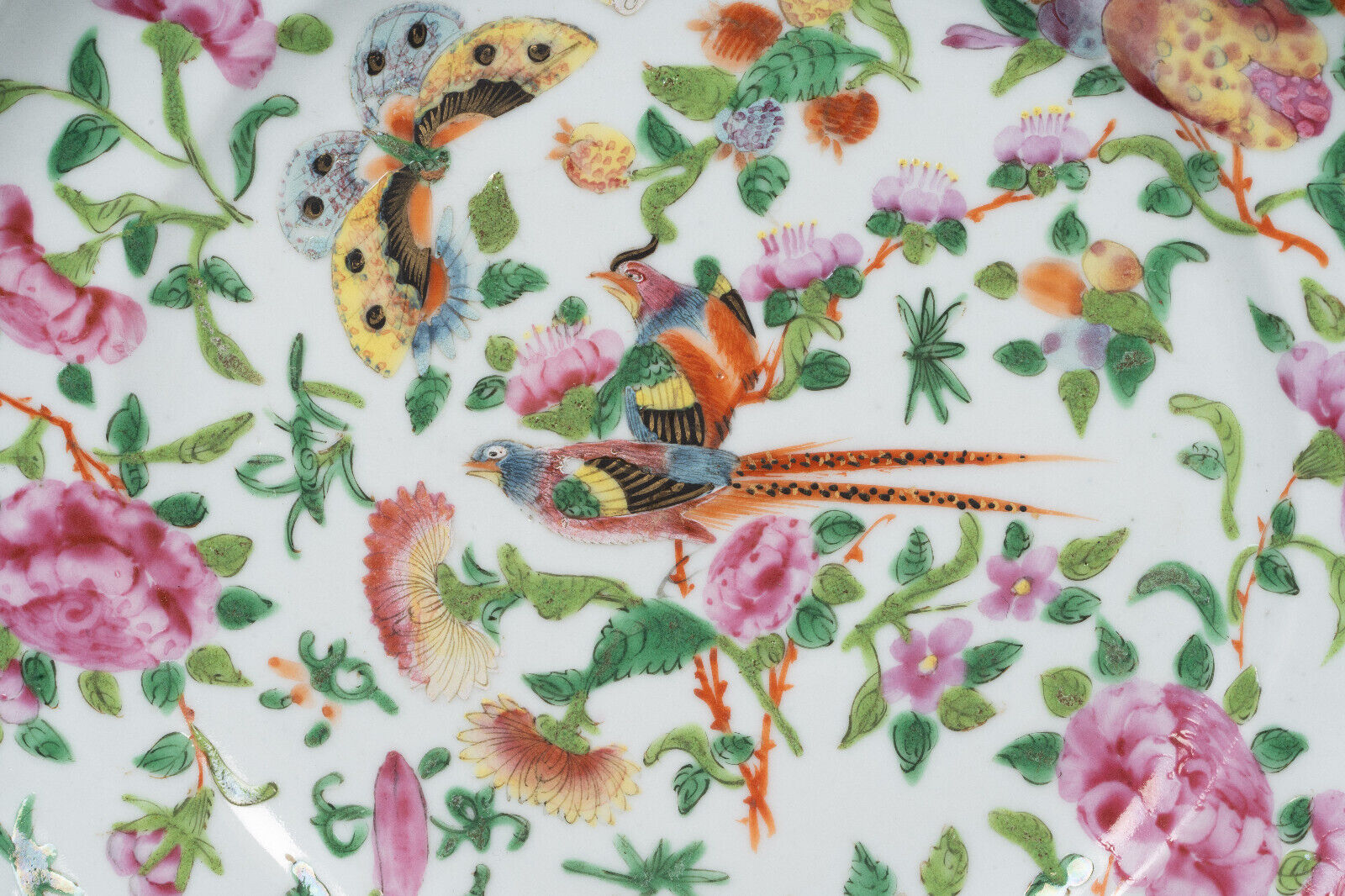 Porcelain plate XIXth Canton with floral decoration birds and butterflies