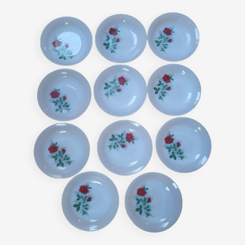 11 Arcopal soup plates