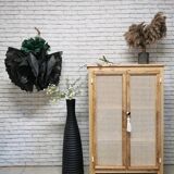 2-door canning cabinet