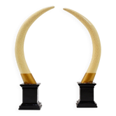 Pair of fake elephant tusks - 20th century H:82cm