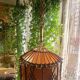 Hanging bamboo lamp with chinoiserie details by Louis Sognot, France, 1950.