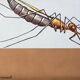 Wall poster of the school from Jung-Koch-Quentell "mosquito" 1972