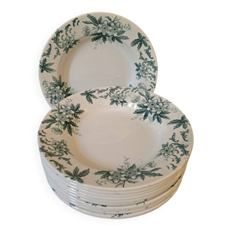 Grande suite de 12 assiettes creuses terre de fer