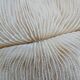 Corail blanc Fungia 24 cm