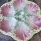 1 Kleber and Guerin oyster barbotine plate from St Clément