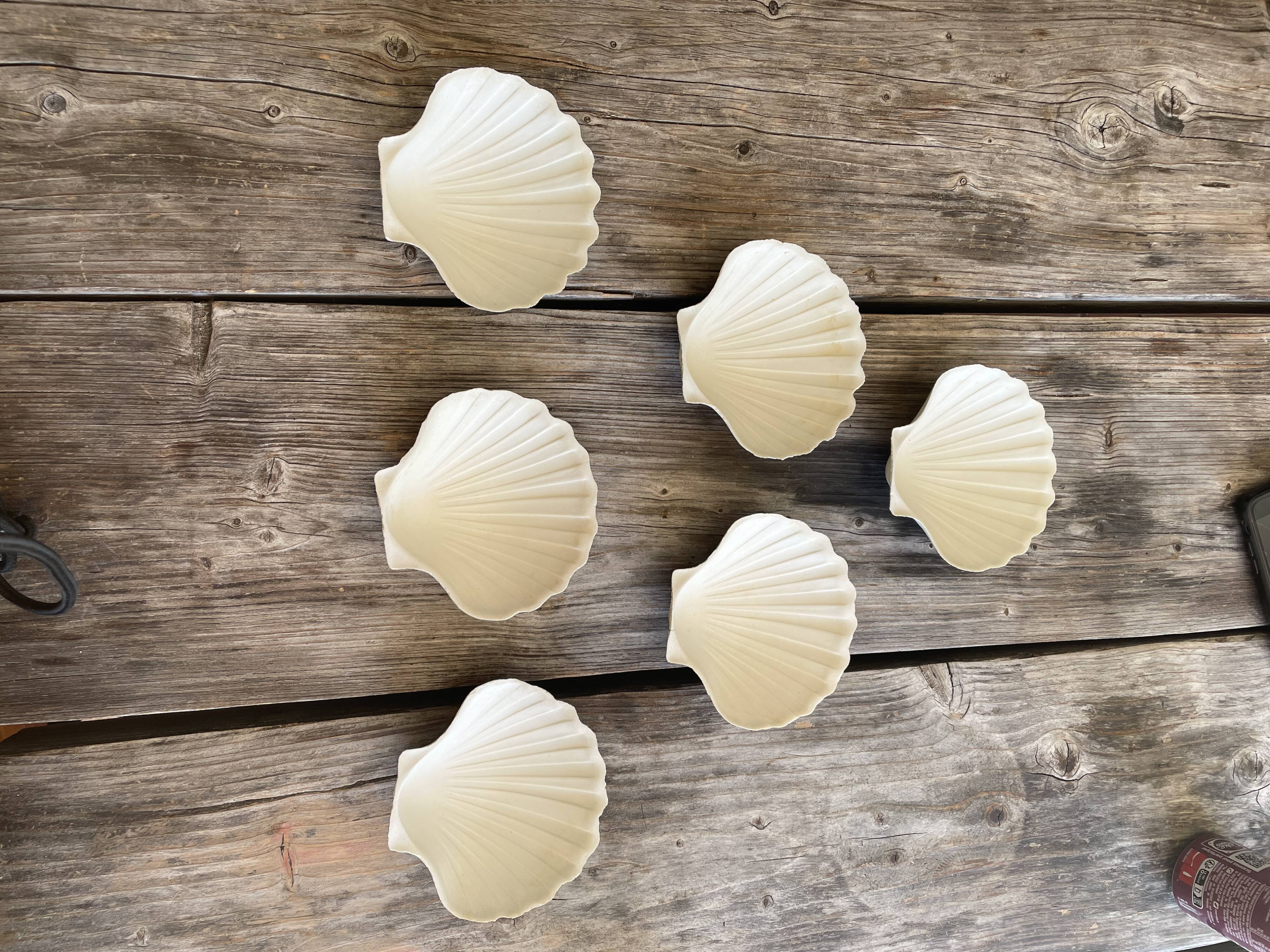 Lot de 6 coupelles coquillages en céramique