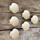 Lot de 6 coupelles coquillages en céramique
