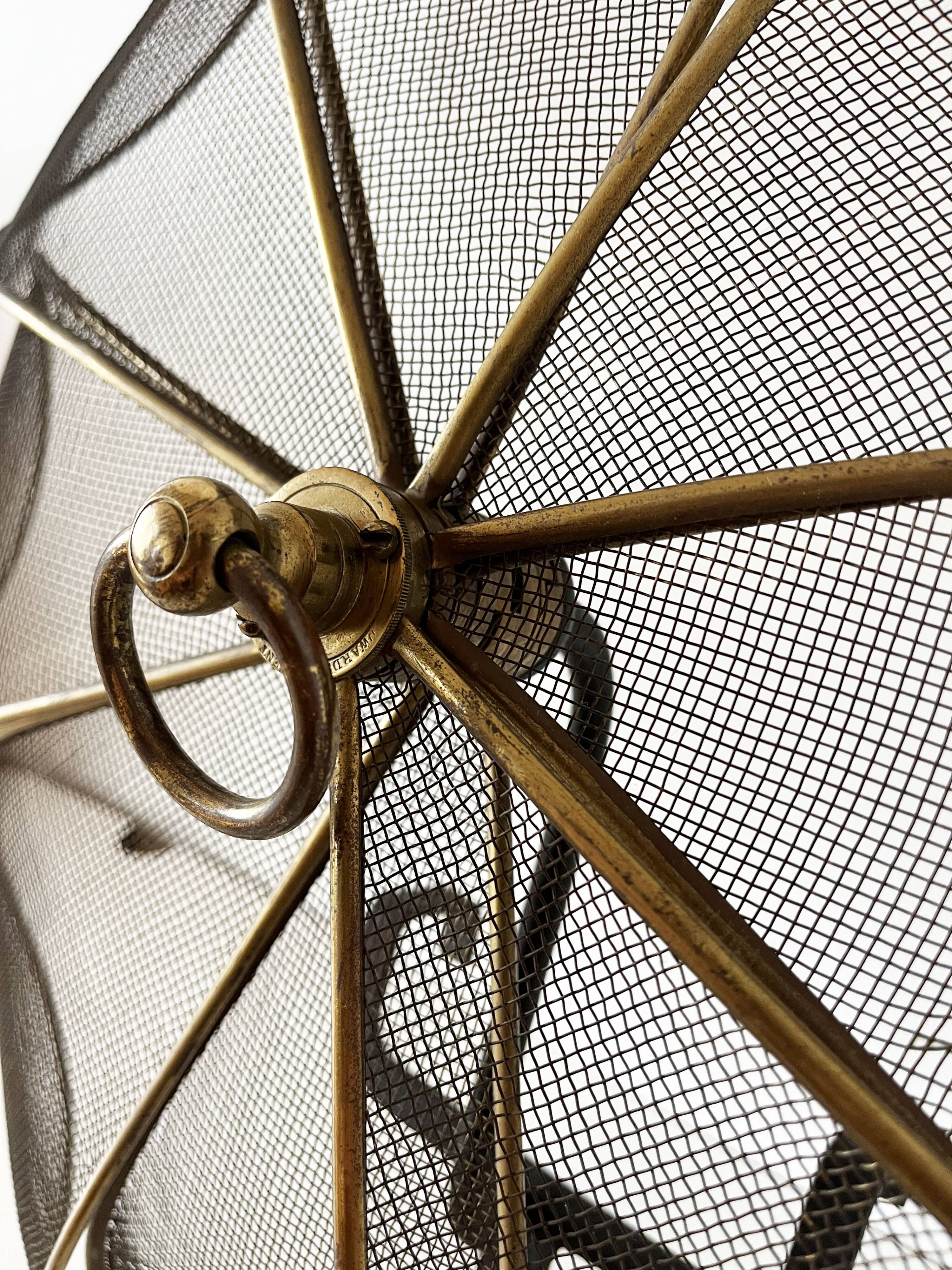 Old fireplace screen