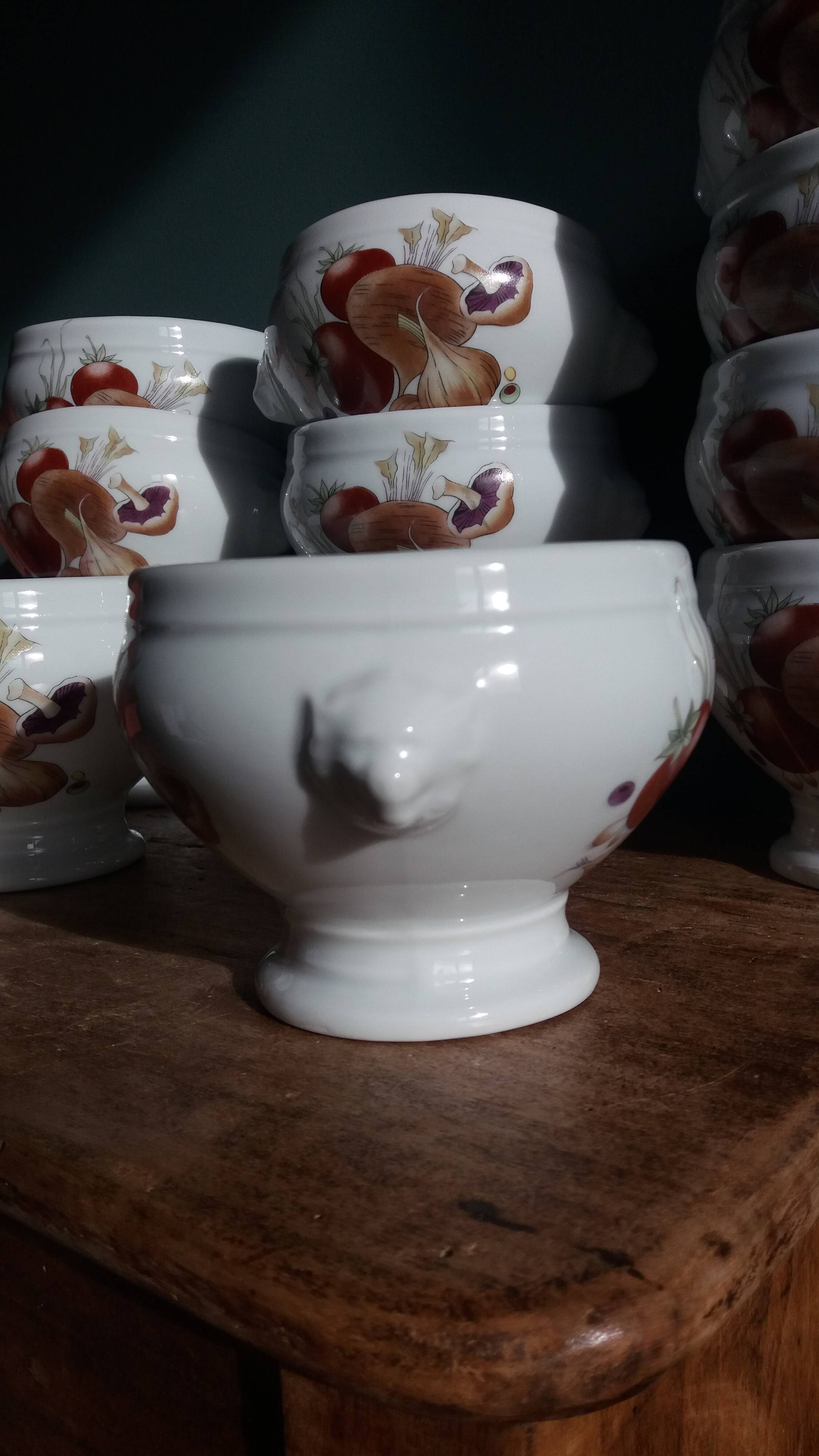 Pyrolux Lourioux porcelain soup bowls