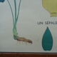 Set of 10 Rossignol posters on plants with frame