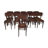 11 Fischel Niemes chairs in Bohemia Austria early 20th century