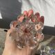 Trio of small, clear glass candle holders