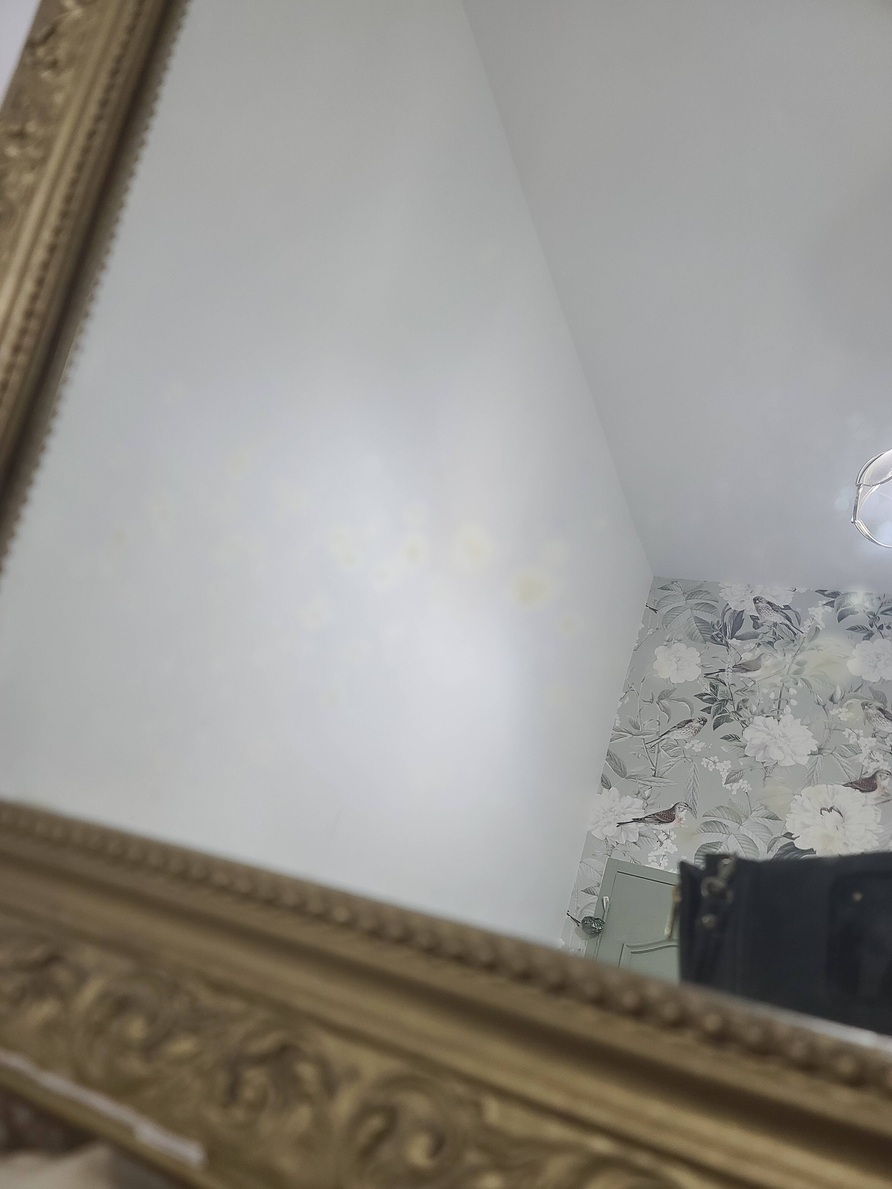 Miroir Doré Style Ancien / Louis Philippe - Arrière Rond