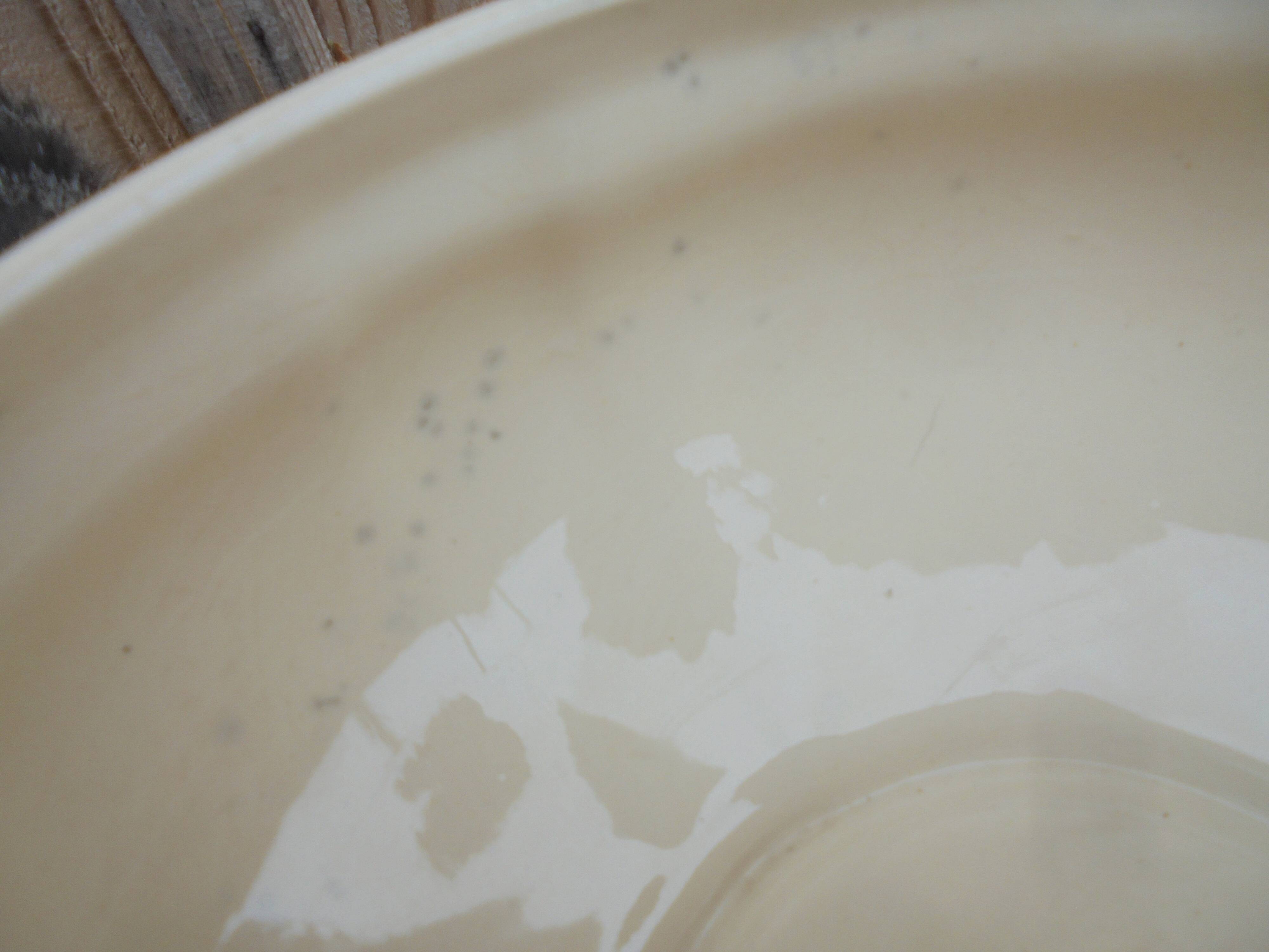 Sarreguemines AGRESTE soup tureen with flower decoration