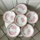 Set of 6 hollow plates Terre de Fer roses late nineteenth