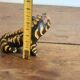 Figurine Animal Sculpture Glazed Terracotta Tiger Alebrije Mexico 2/2