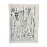 Gravure ancienne 1898, Armes anciennes, épée, pistolet, couteau