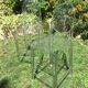 Paire de tabourets de bar by kartell Philippe starck