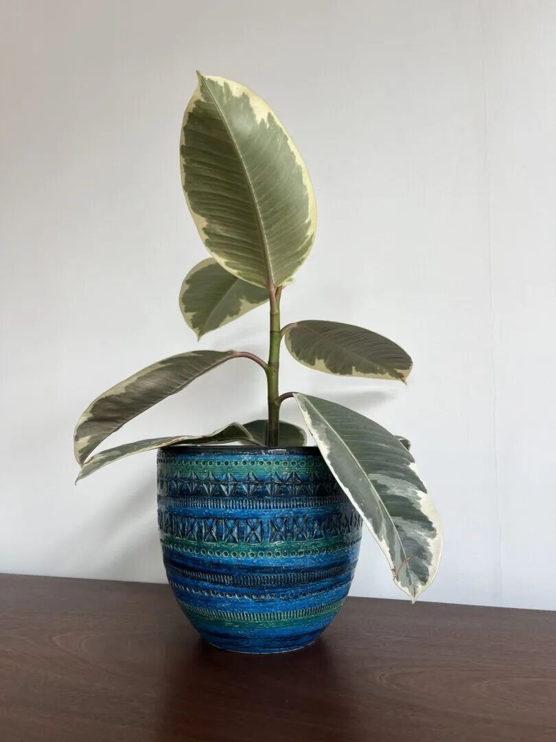 Bitossi flowerpot – Rimini blue, Aldo Londi