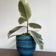 Vase à fleurs Bitossi – Bleu Rimini, Aldo Londi